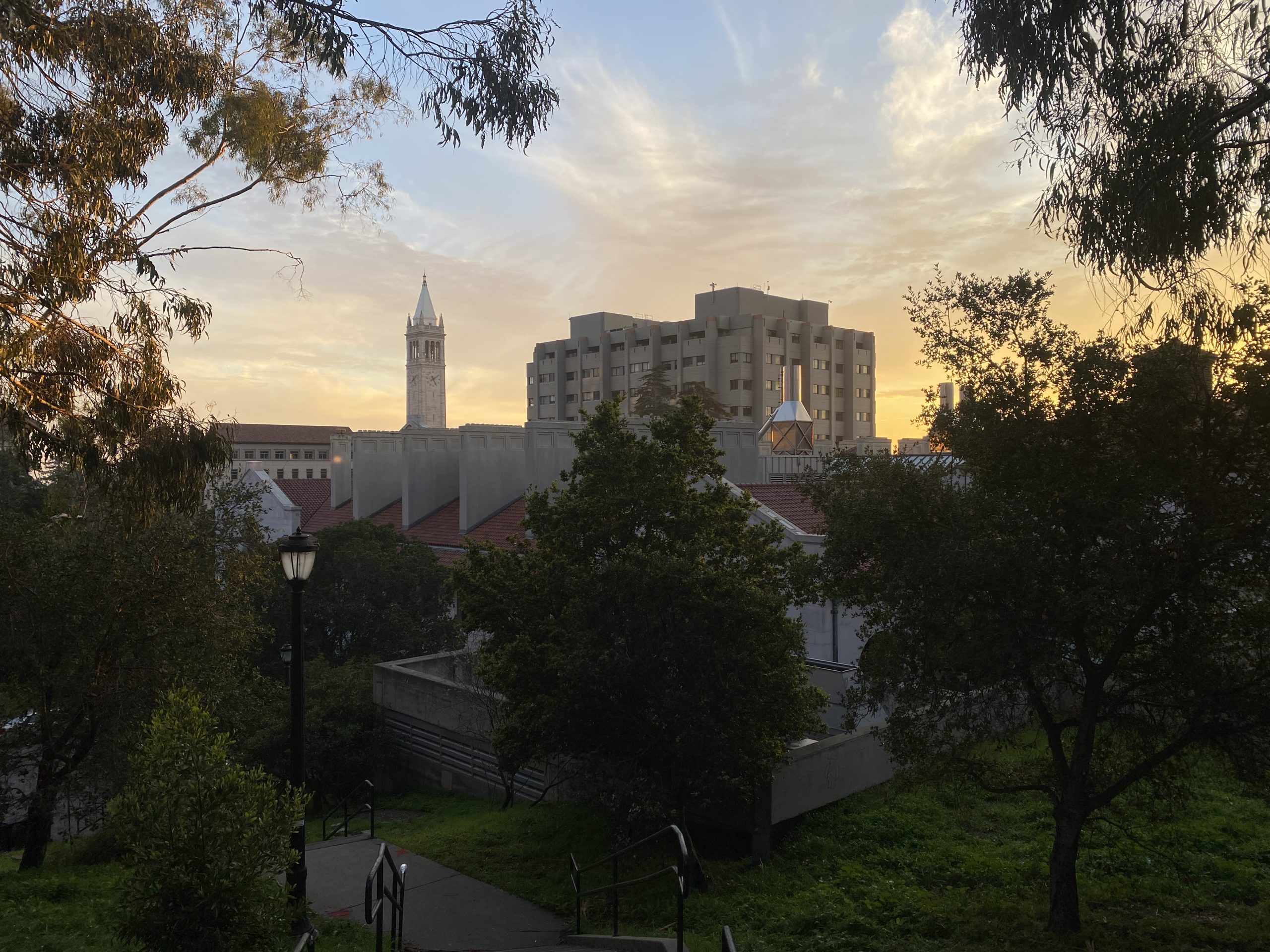 Berkeley : THE university of California!