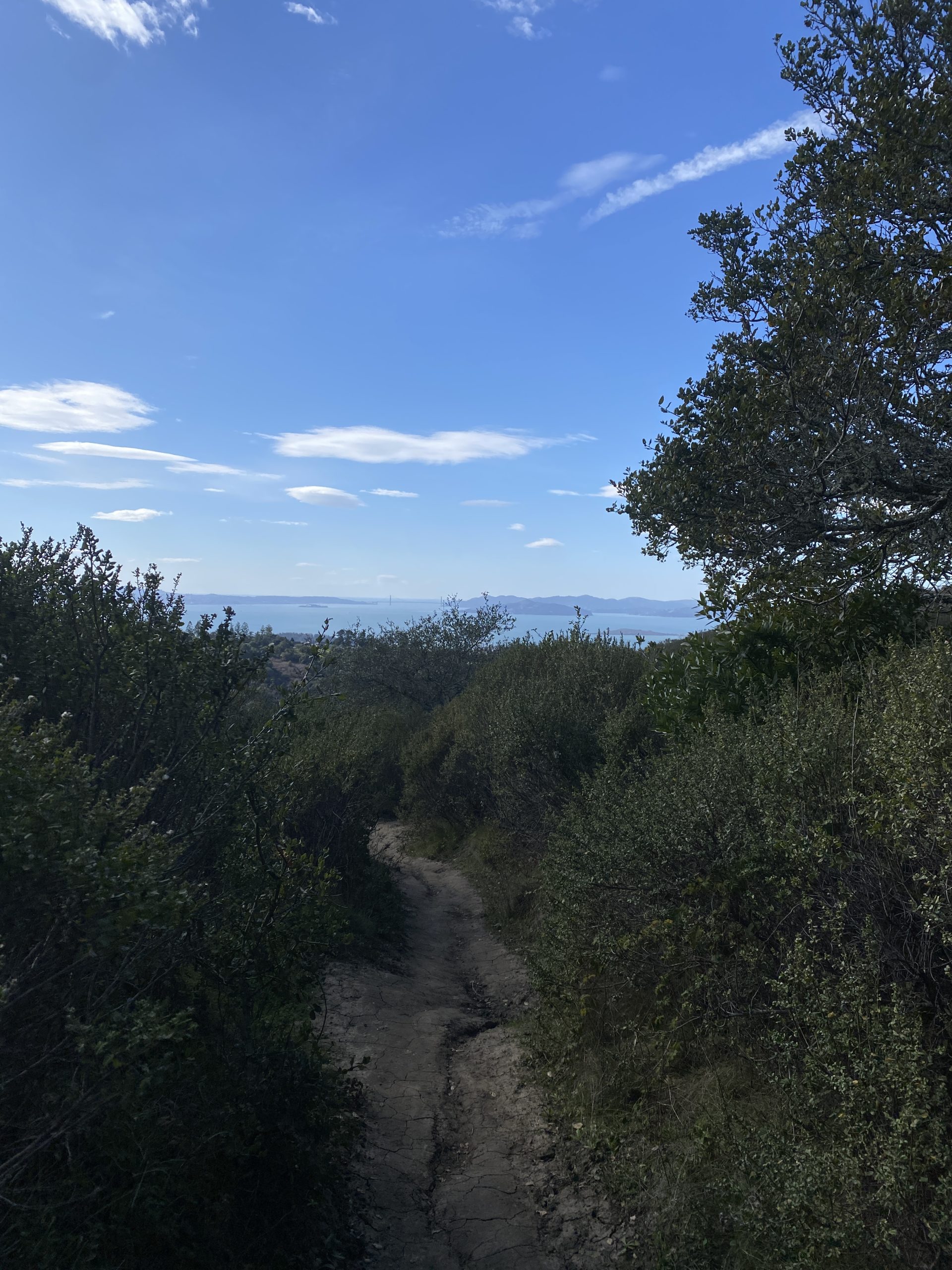Tilden Park