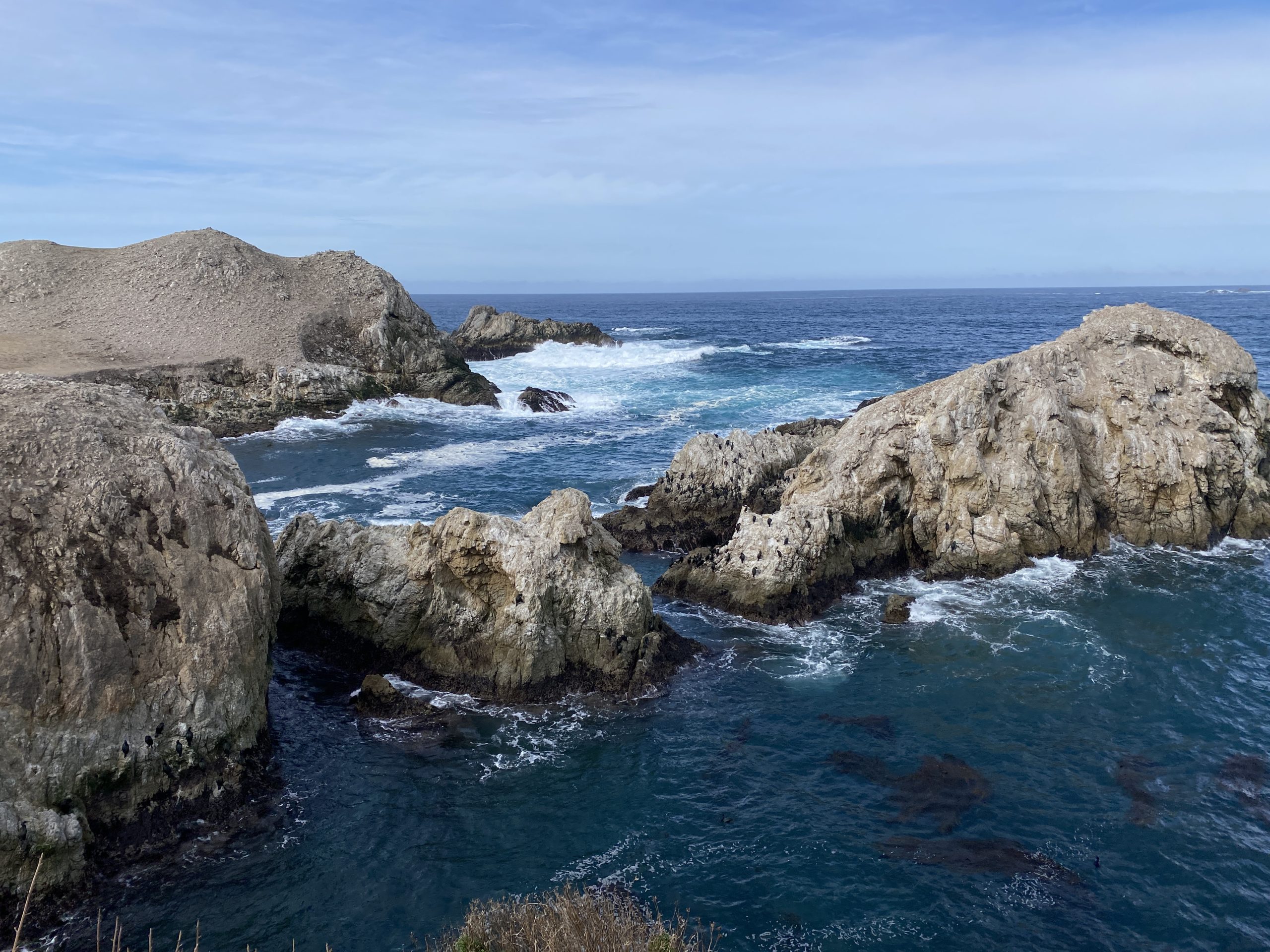 Point lobos State natural reserve